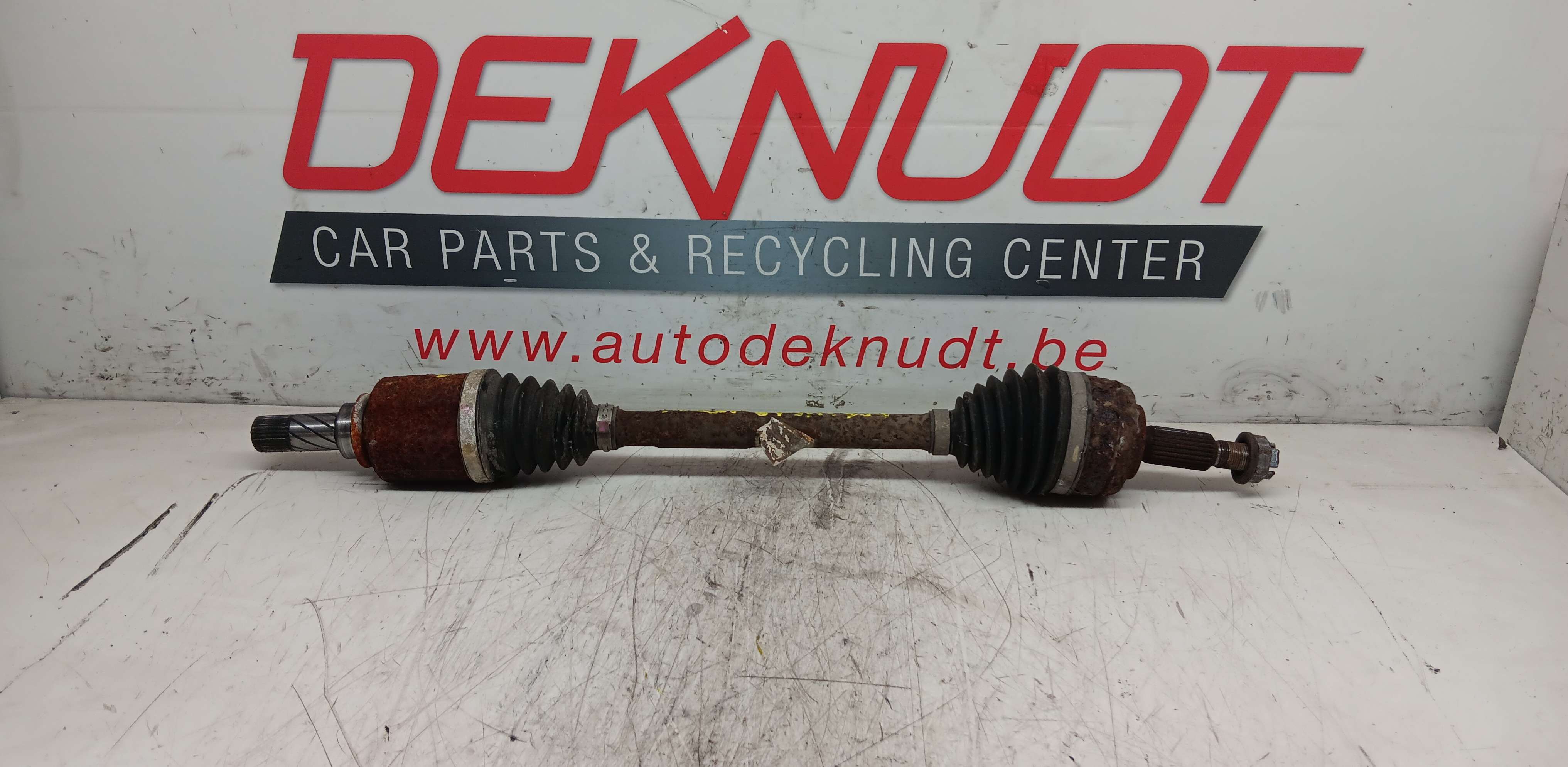 Kardan links Renault Scenic