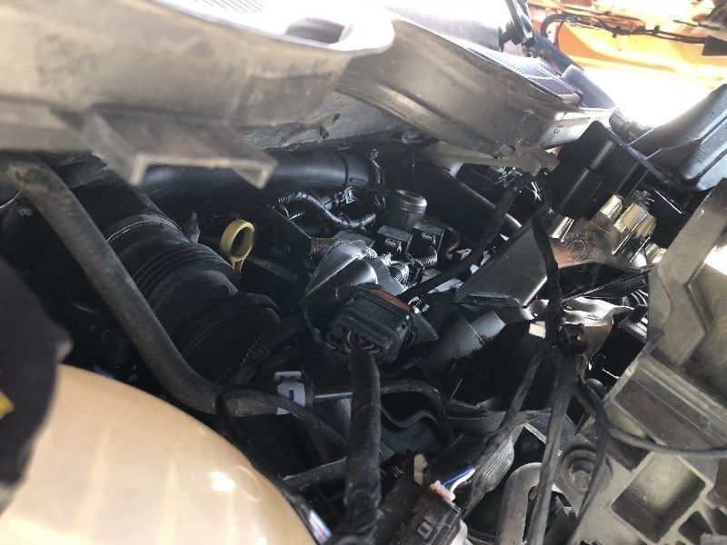 auto