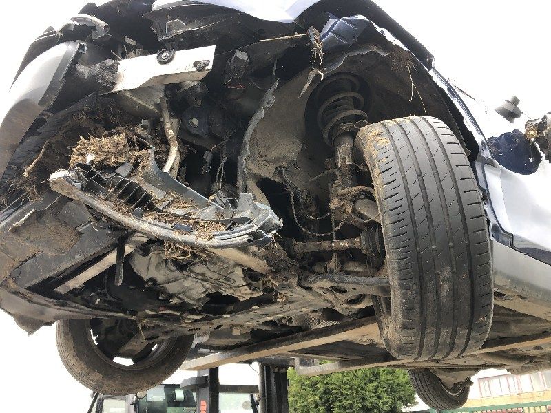 auto