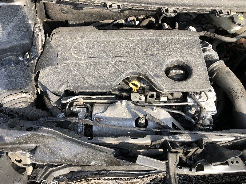 auto