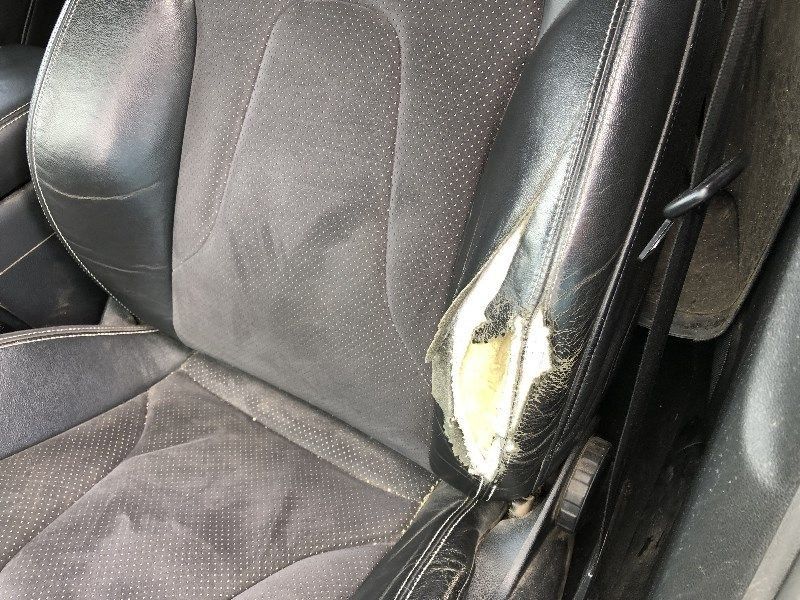 auto