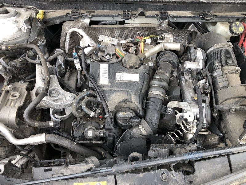 auto