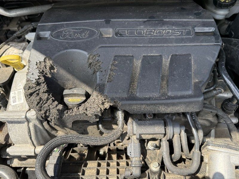auto