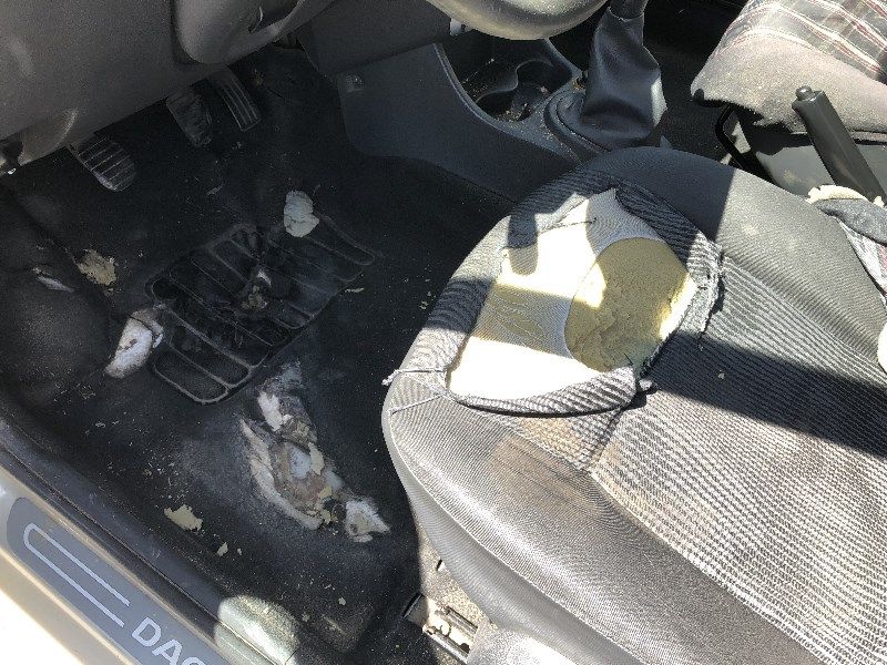auto