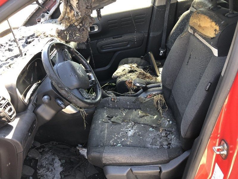 auto
