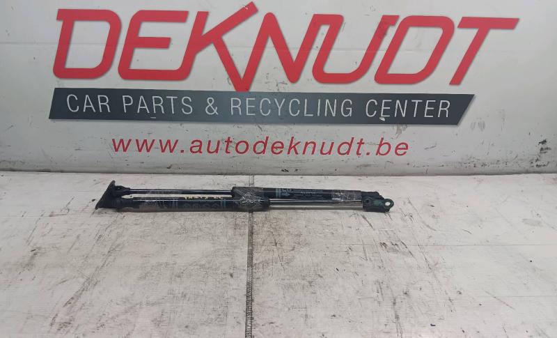 Achterkelp veren