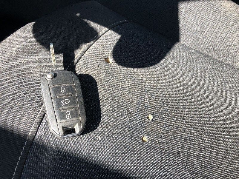 auto
