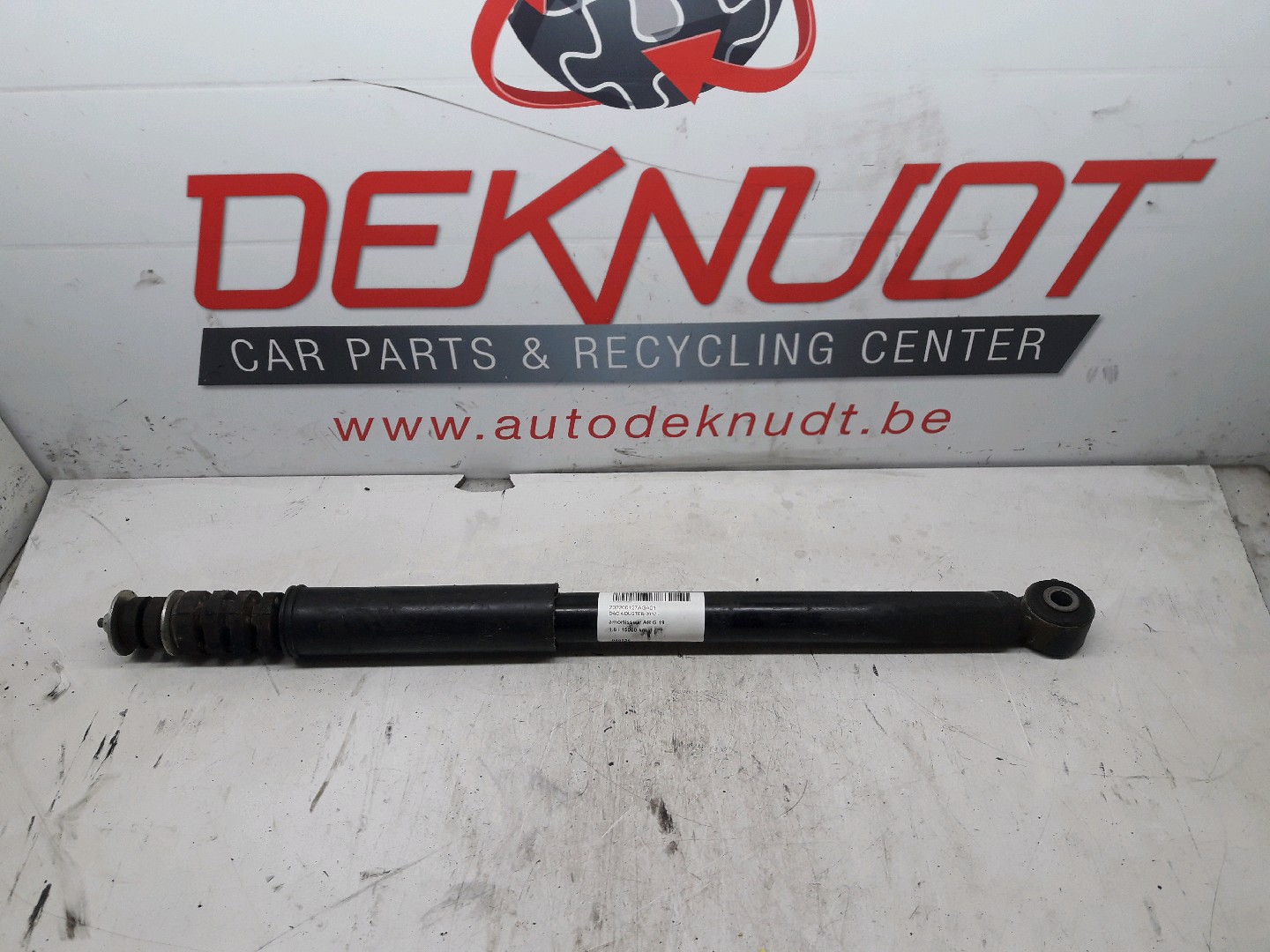 Veerpoot links achter Dacia DUSTER II 2017 - 22