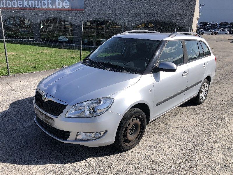 Deur links voor Skoda Fabia
