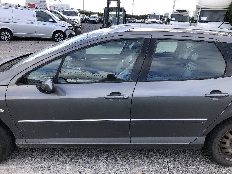 porte AR G Peugeot 407 2004 - 11